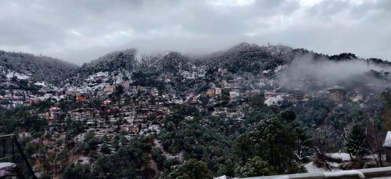 2Bhk Furnished Apartment/Near Kasauli/Barog/Luv Fun & Adventure Solan Dış mekan fotoğraf