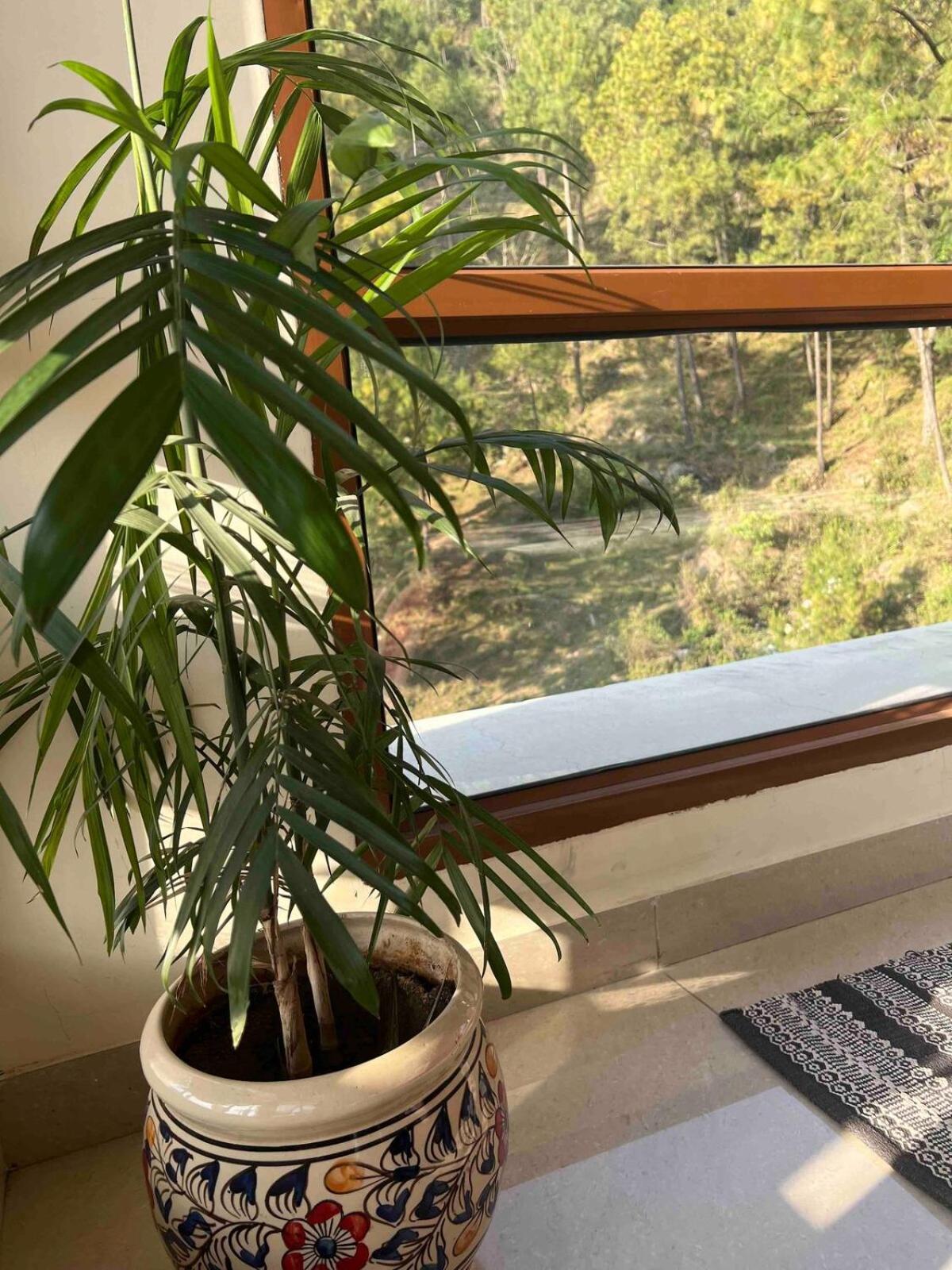 2Bhk Furnished Apartment/Near Kasauli/Barog/Luv Fun & Adventure Solan Dış mekan fotoğraf