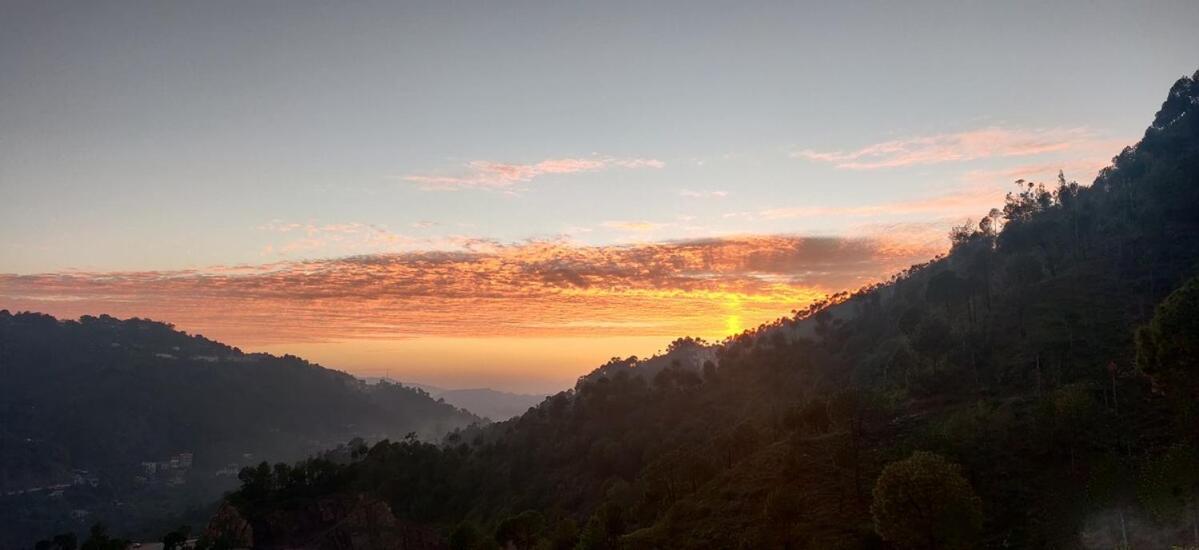2Bhk Furnished Apartment/Near Kasauli/Barog/Luv Fun & Adventure Solan Dış mekan fotoğraf
