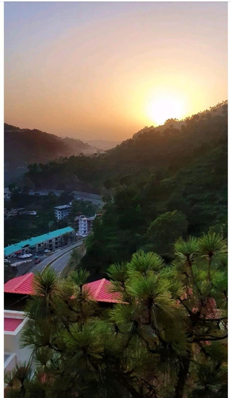 2Bhk Furnished Apartment/Near Kasauli/Barog/Luv Fun & Adventure Solan Dış mekan fotoğraf