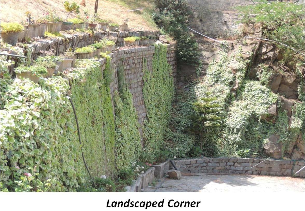 2Bhk Furnished Apartment/Near Kasauli/Barog/Luv Fun & Adventure Solan Dış mekan fotoğraf